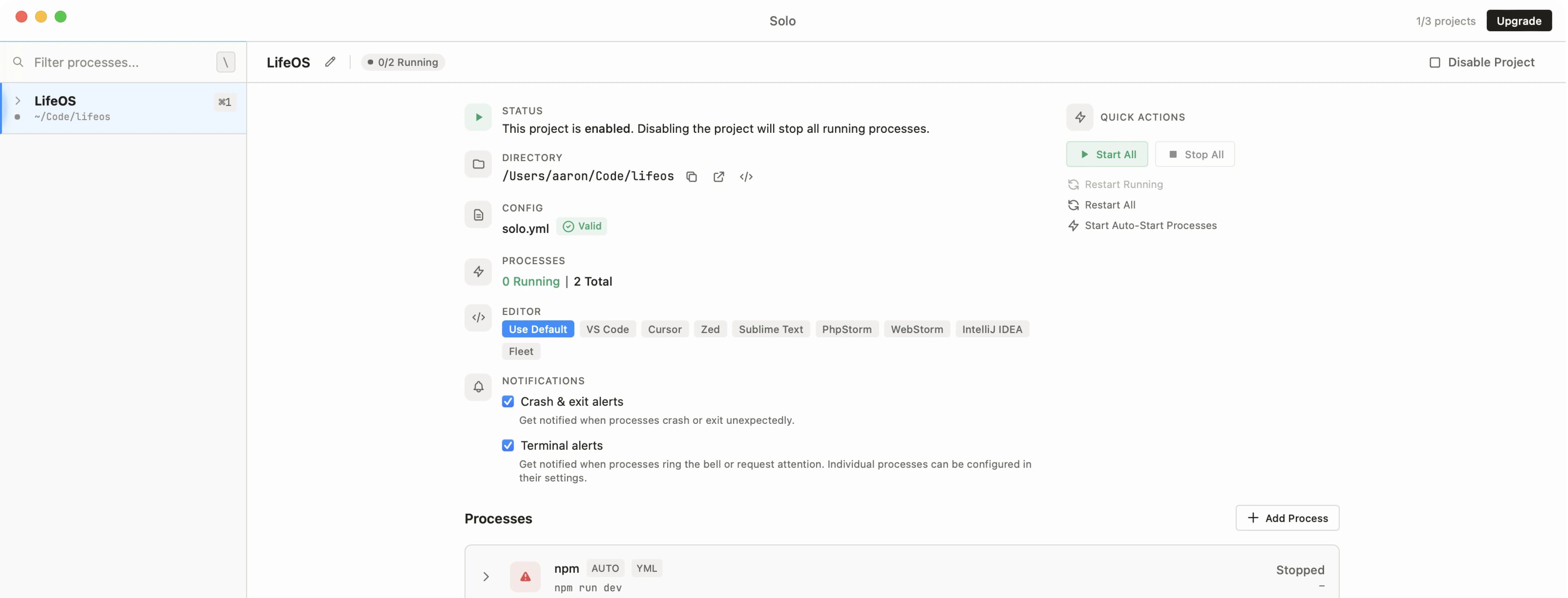 Solo process workspace showing agents and project commands