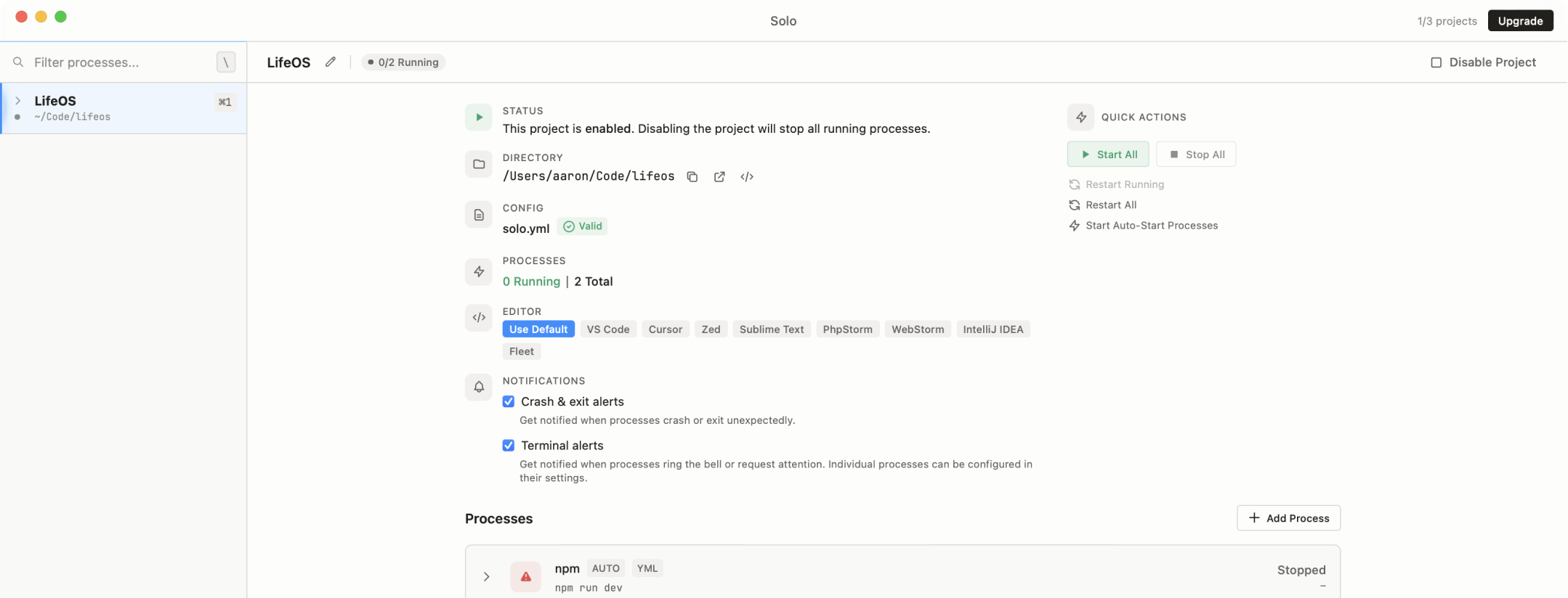 Solo workspace running coding agents and project commands